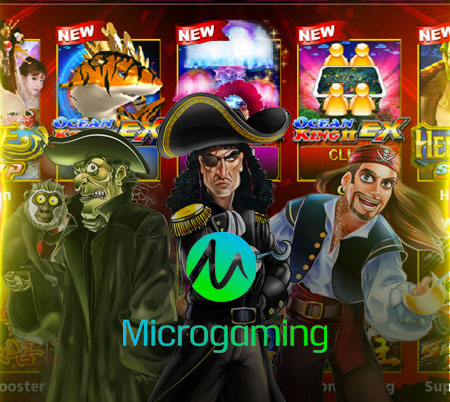 Microgaming Slots Game